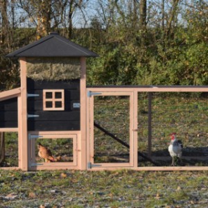 Het kippenhok Rosanne is uitgebreid met een aanbouwren