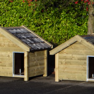 Grote hondenhokken van geïmpregneerde vurenhout, met dakpannen: Hondenhok Snuf (breedte 176cm) en hondenhok Reno (breedte 160cm)
